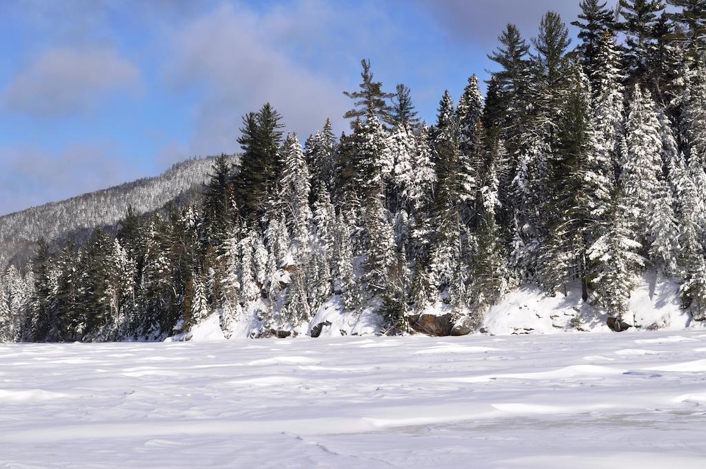 La Taniere De L'Ours Hotel Saint-Donat-de-Montcalm Exterior photo
